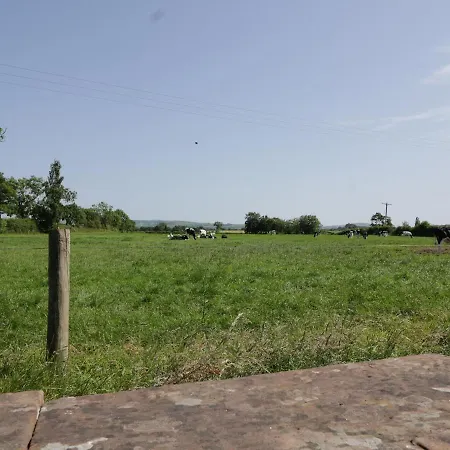 Robyn * Waverton (Cumbria)